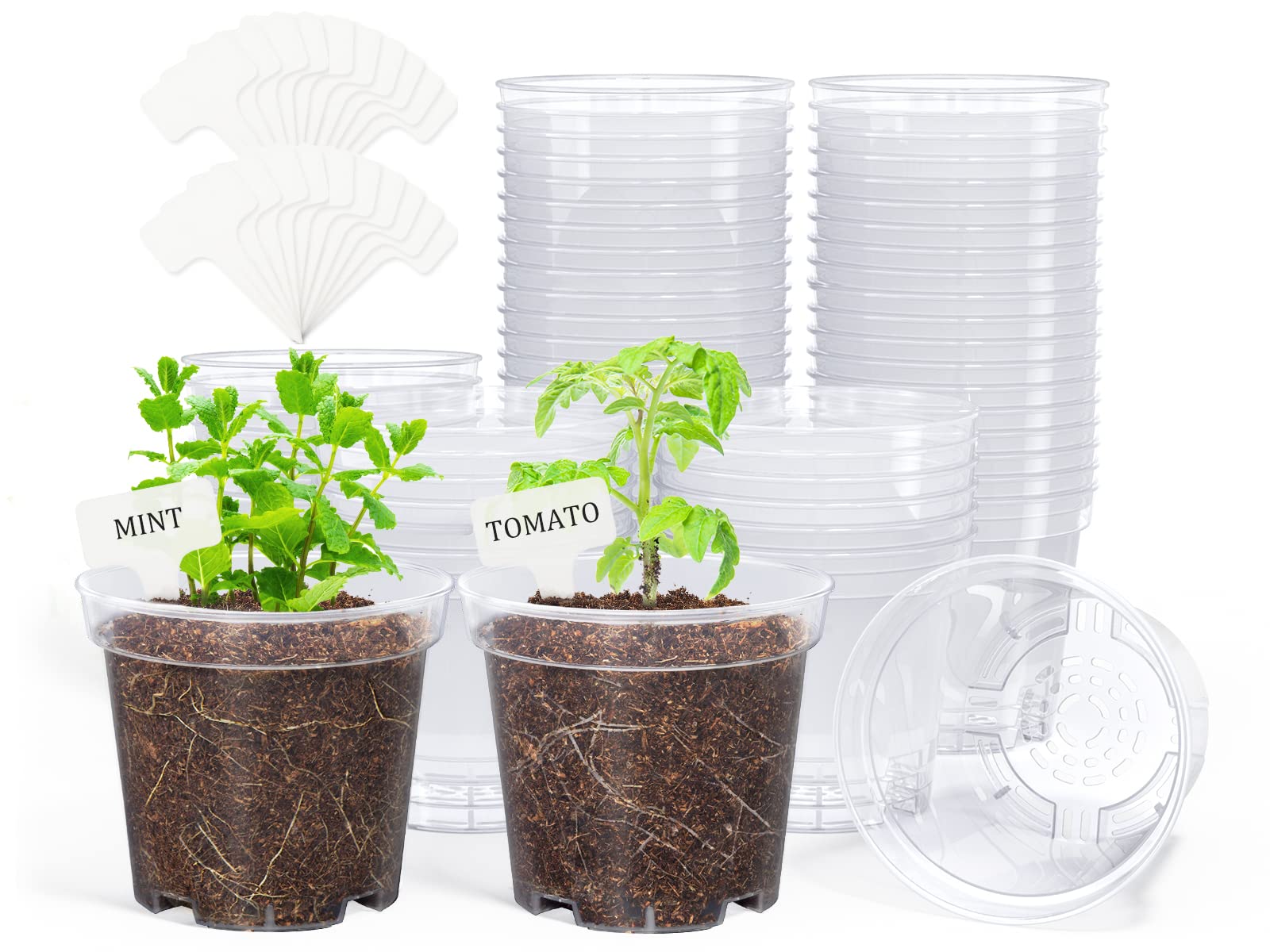 Homenote clear nursery pots 4-inch top view for easy soil moisture observation