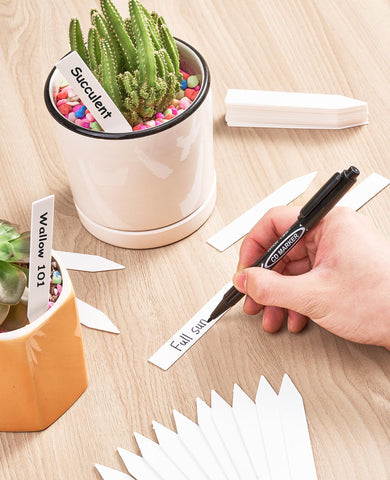 Homenote garden markers in soil, perfect for organizing vegetables and herbs.