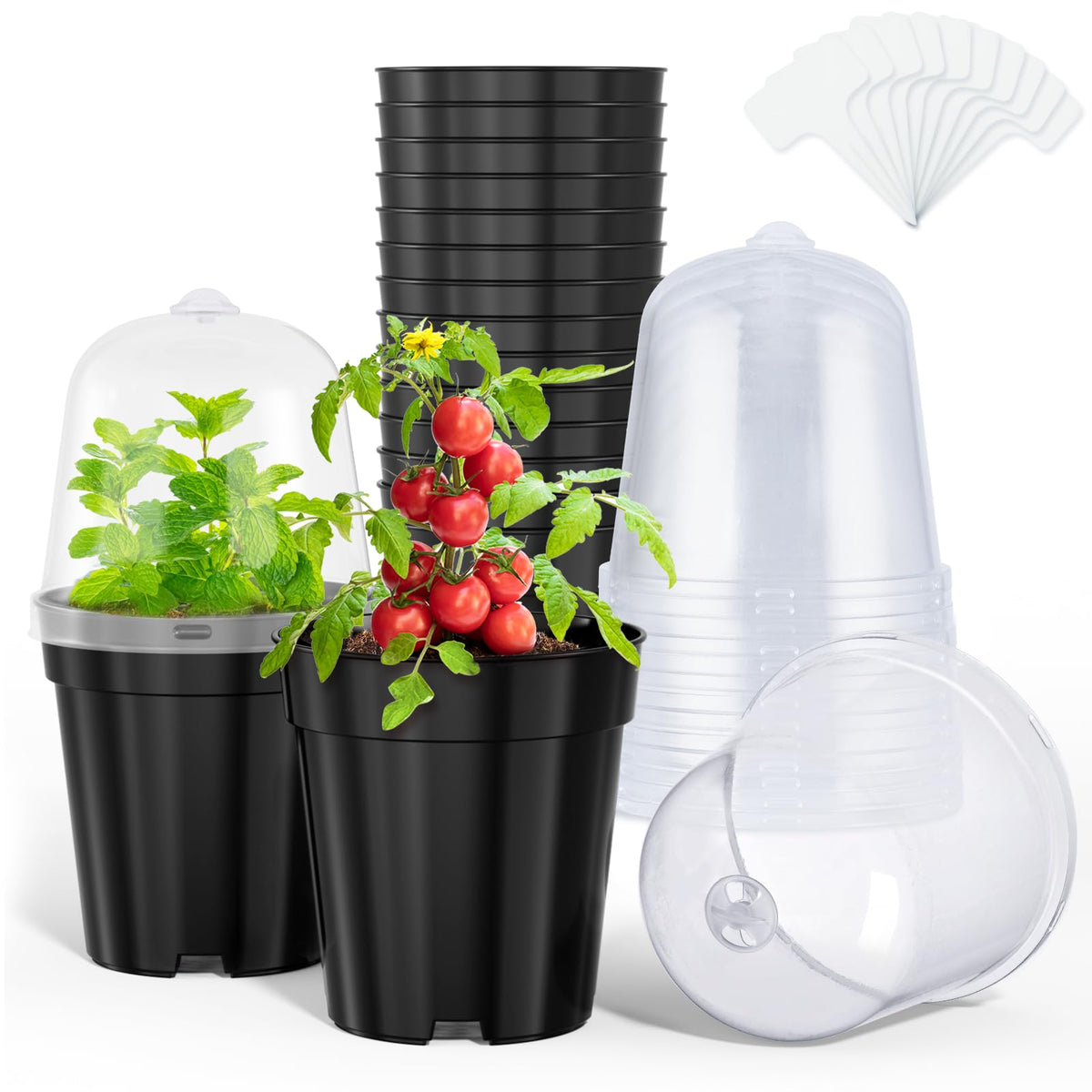 homenote 5-inch nursery pot with humidity dome for healthy seedling growth