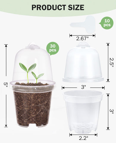 homenote humidity dome helps nurture delicate cuttings during early growth