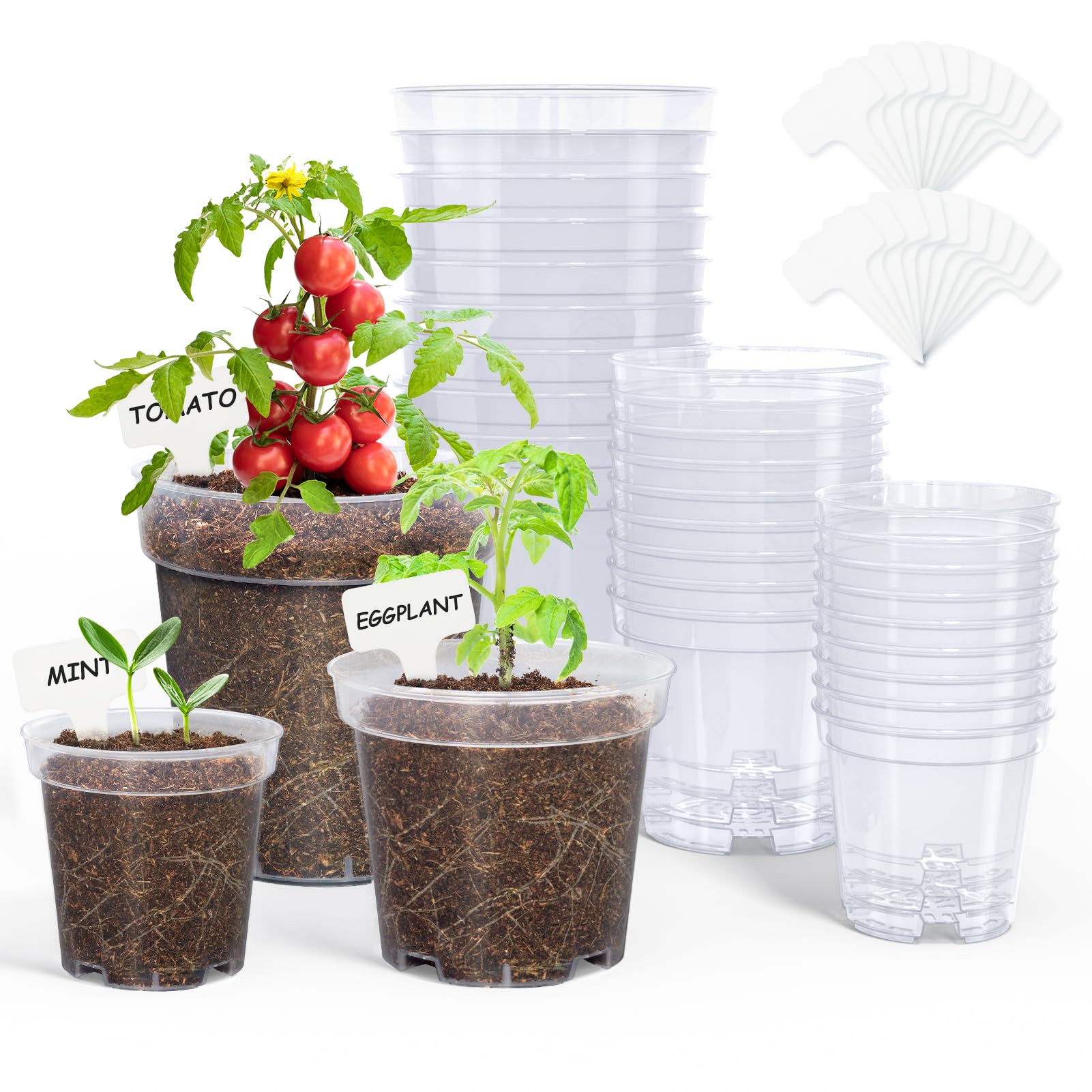 Homenote nursery pots 30-pack shown for seed starting and organization