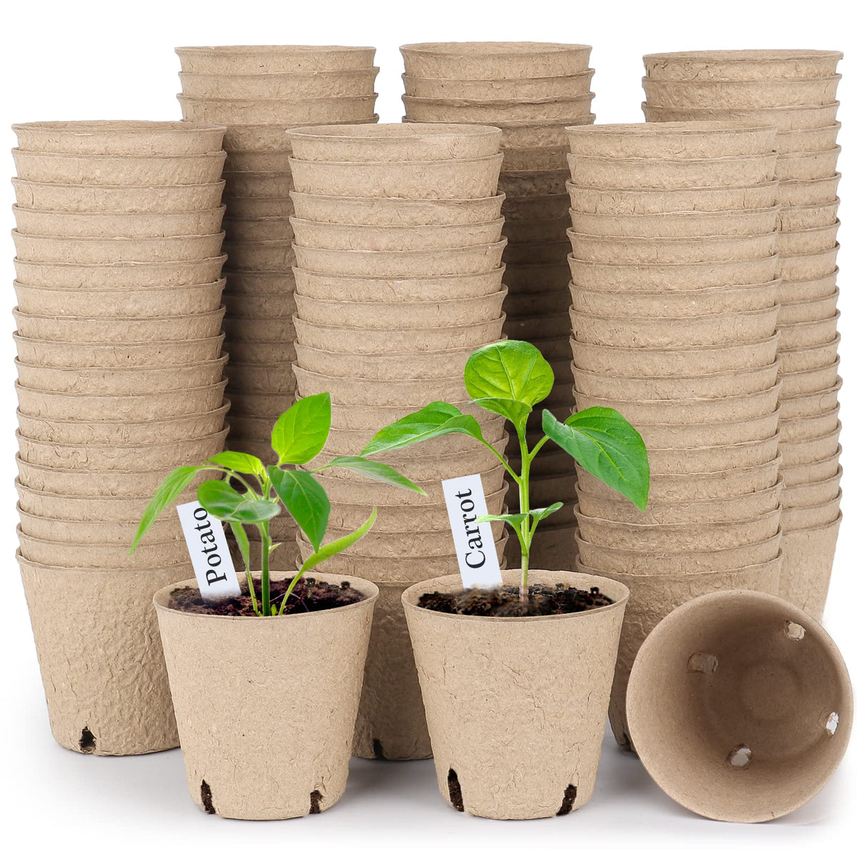Homenote peat pot 3-15 inch seed starter ready for seedlings and transplanting.