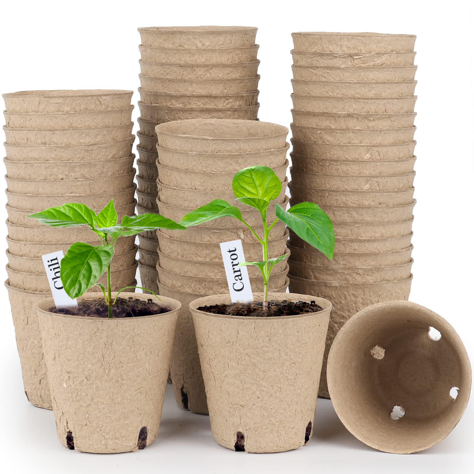 Homenote peat pots with drainage holes ready for seed starting.