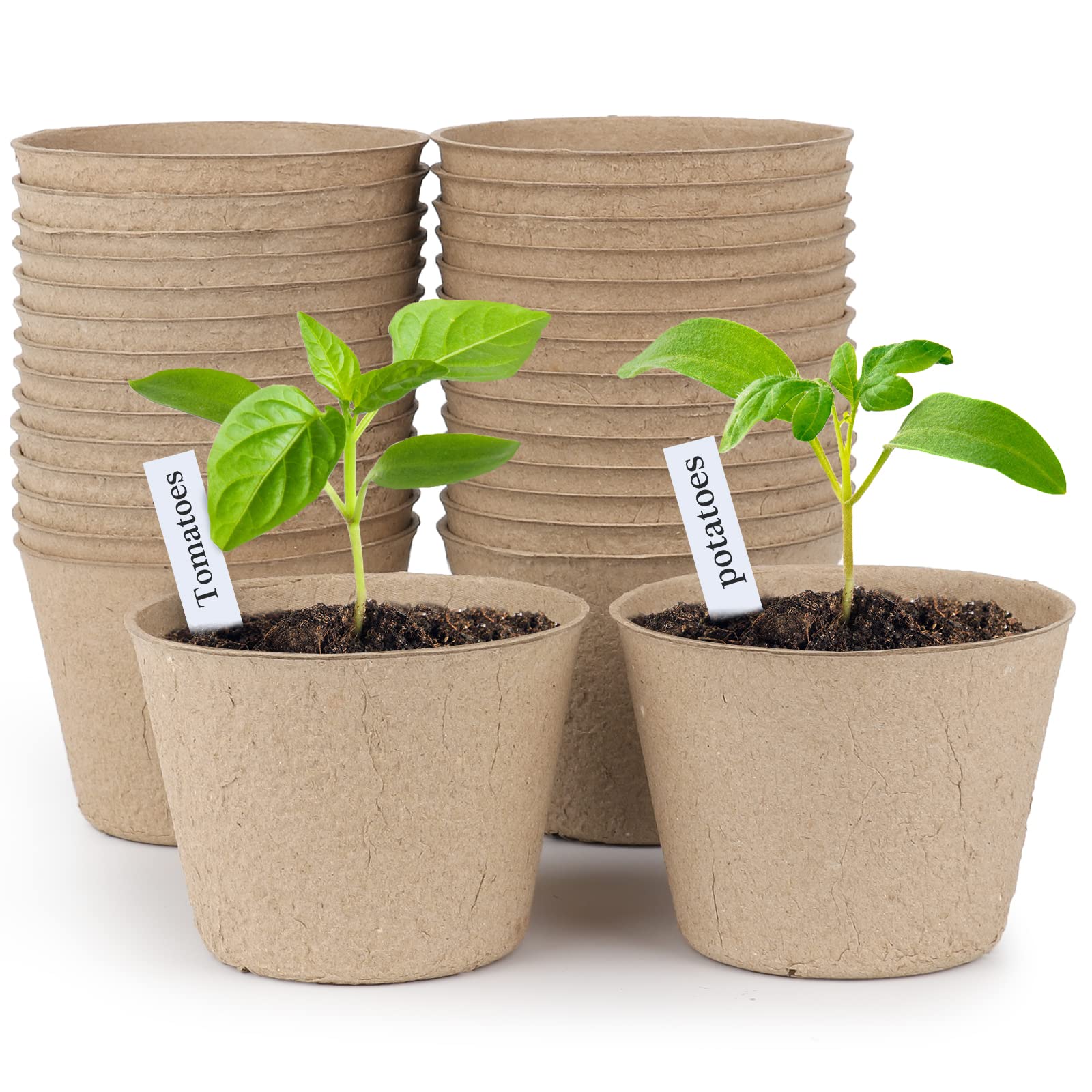 Homenote peat pots 30-count in 4-inch size for easy seed starting