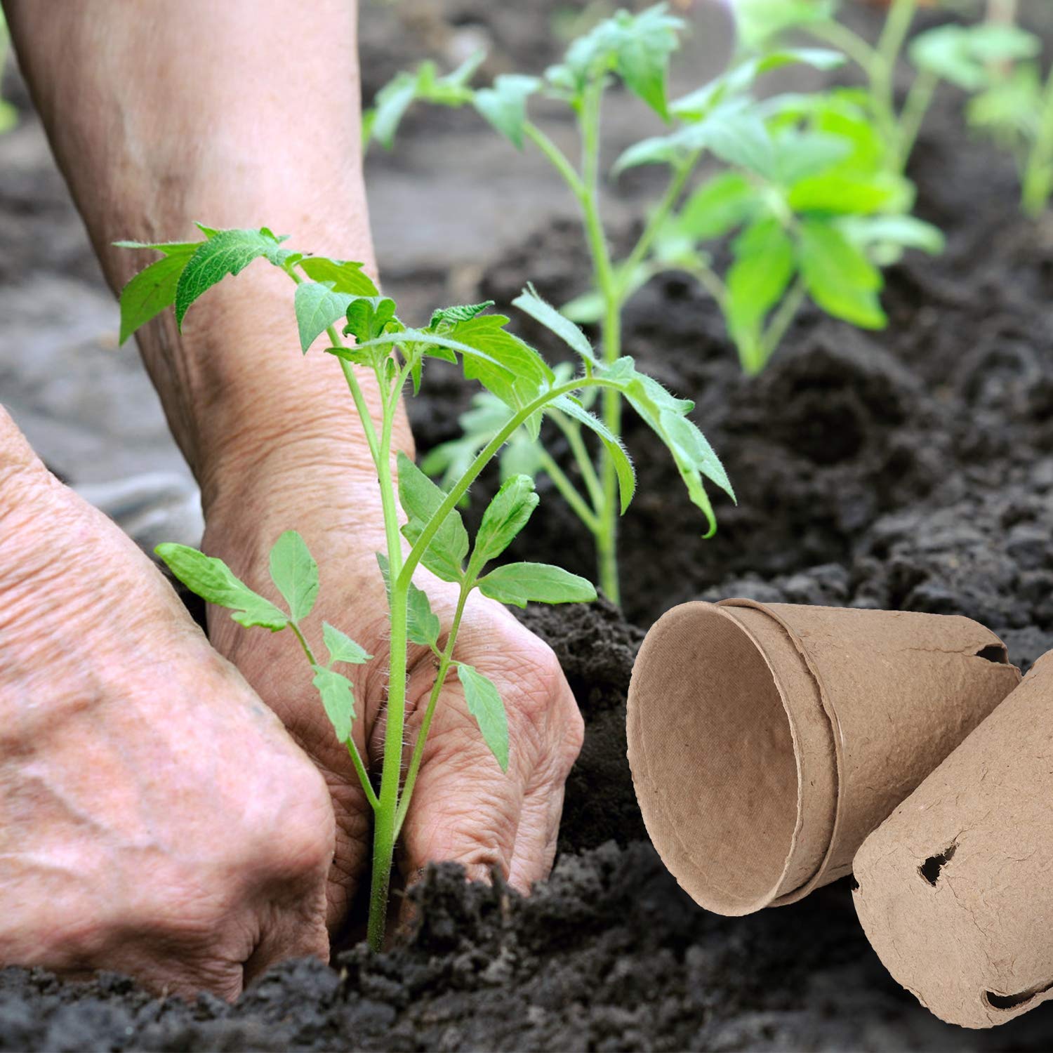 Homenote 3-15-inch seed starter pots made from recycled pulp.