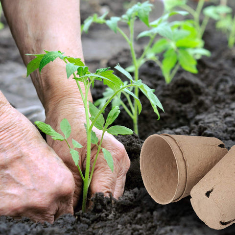 Homenote 3-15-inch seed starter pots made from recycled pulp.