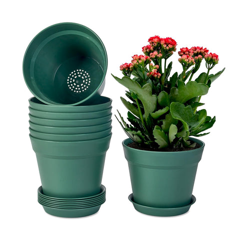 Homenote plant pot with drainage holes promotes healthy watering and prevents soil pooling.