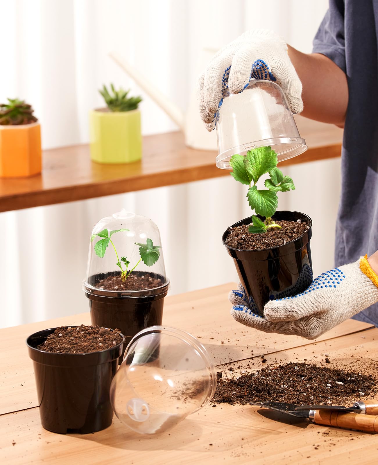 homenote plastic seed starter pot with drainage holes to prevent overwatering