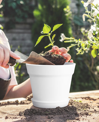 Homenote 7-5-inch diameter planters ideal for indoor arrangements.