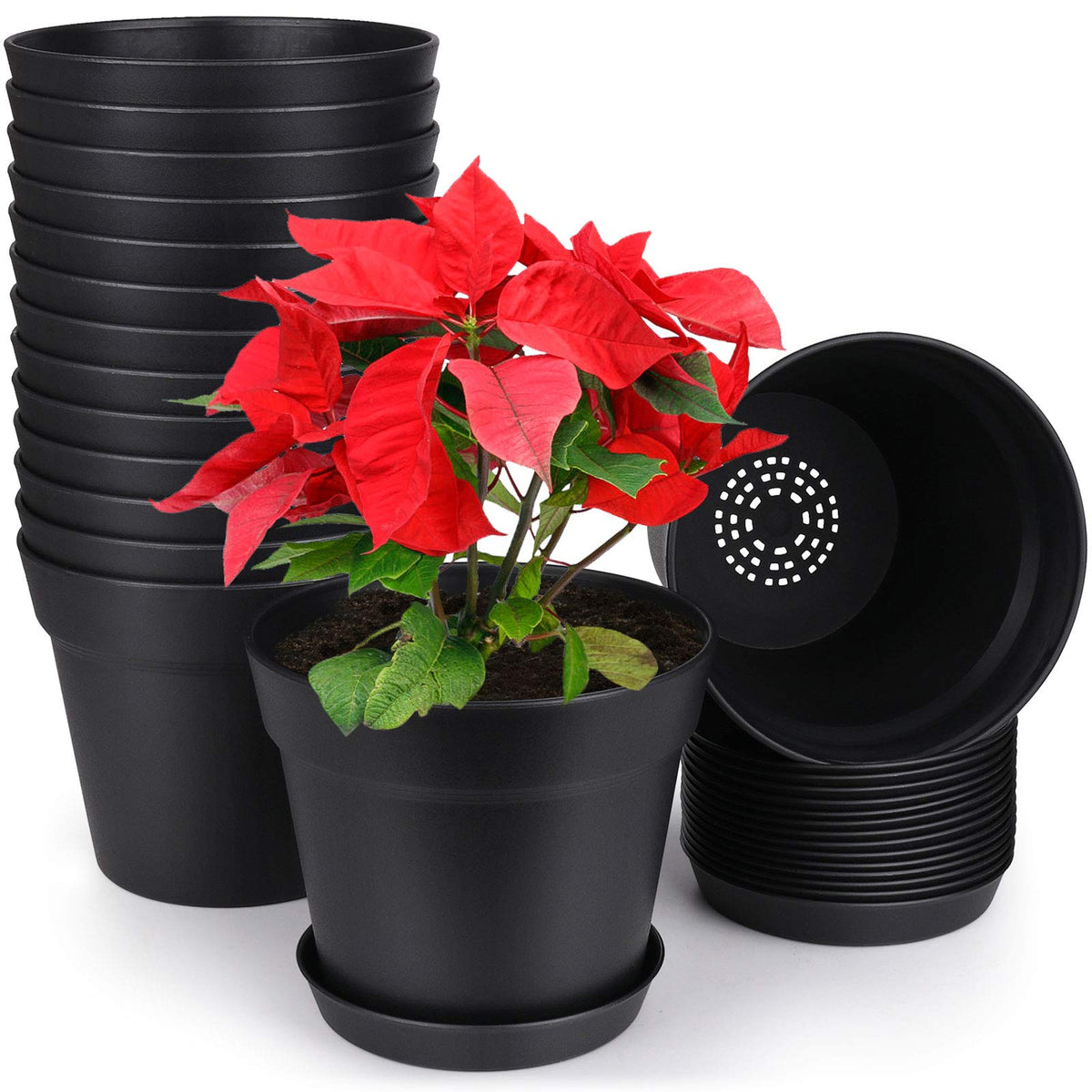 Homenote pots with 6-inch opening for flexible indoor planting and rearrangement.