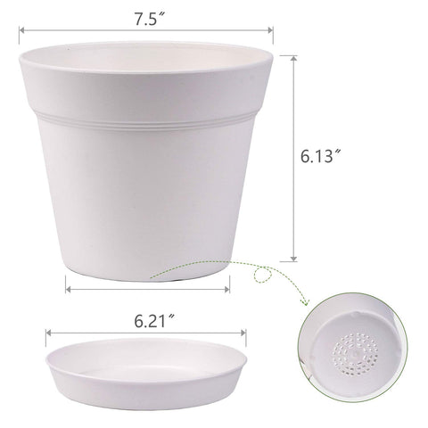 Homenote cream-white display on a windowsill enhances plant decor.