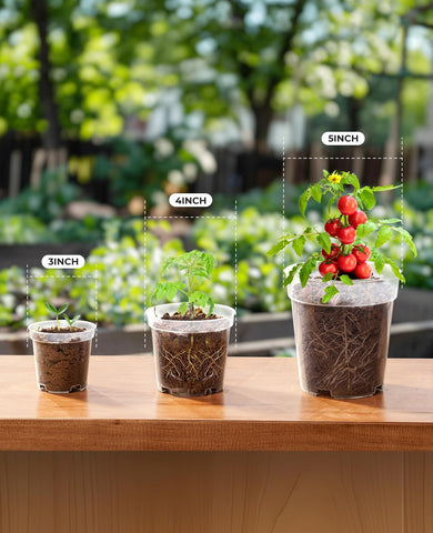 Homenote pots featuring drainage holes to promote airflow