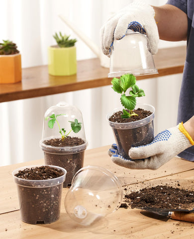 homenote 30-pack set with lids ideal for seed starting and propagation