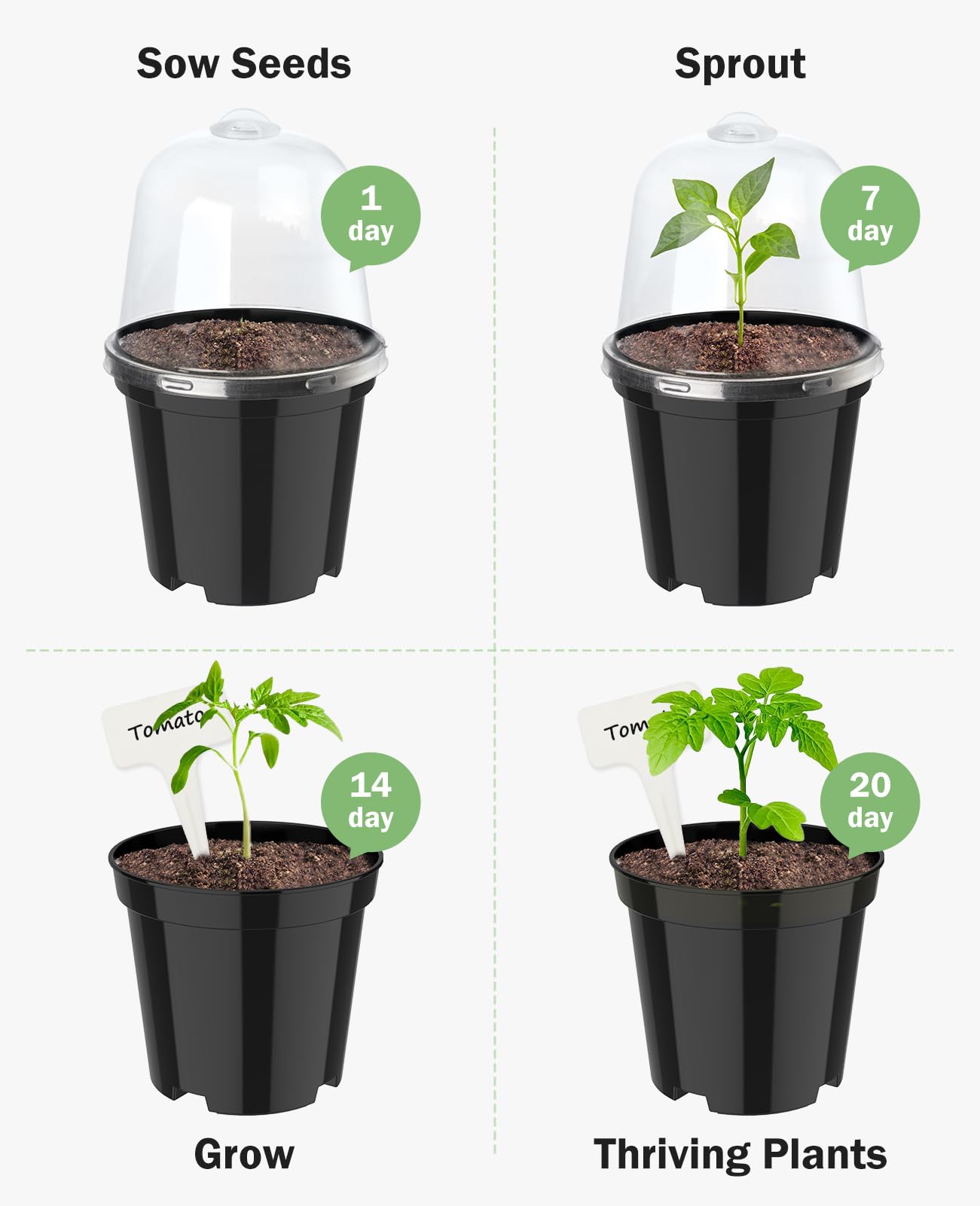 homenote raised-bottom design improves air circulation for seedlings