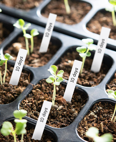 Homenote seedling marker pen, easy to write on plastic surfaces.