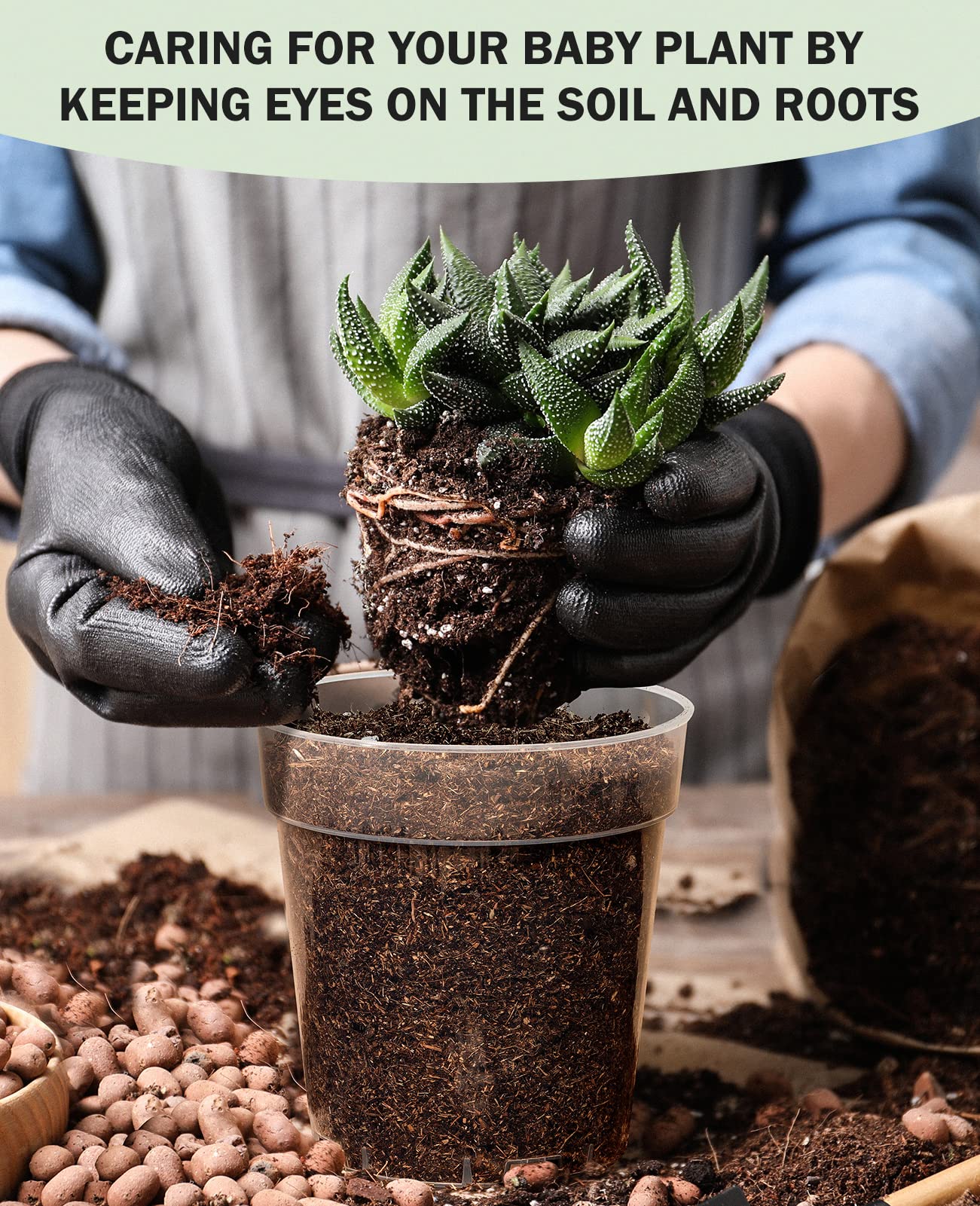 Homenote seedling starter pot setup speeds greenhouse workflow