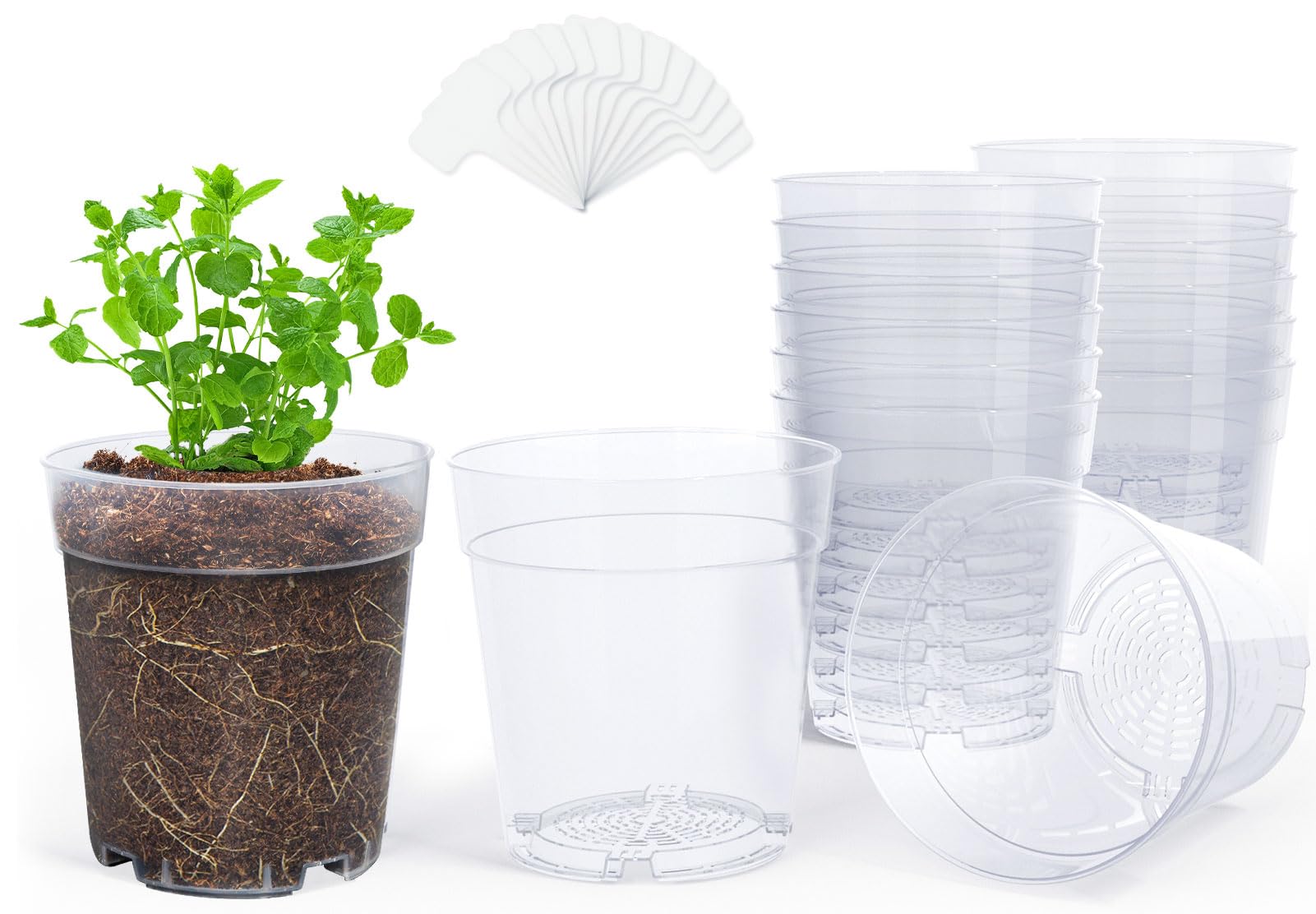 Includes white plant tags to label species and growth stages.