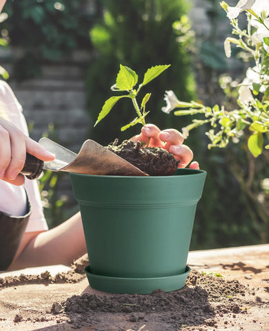 Homenote smooth green indoor planter ideal for windowsills and desks.