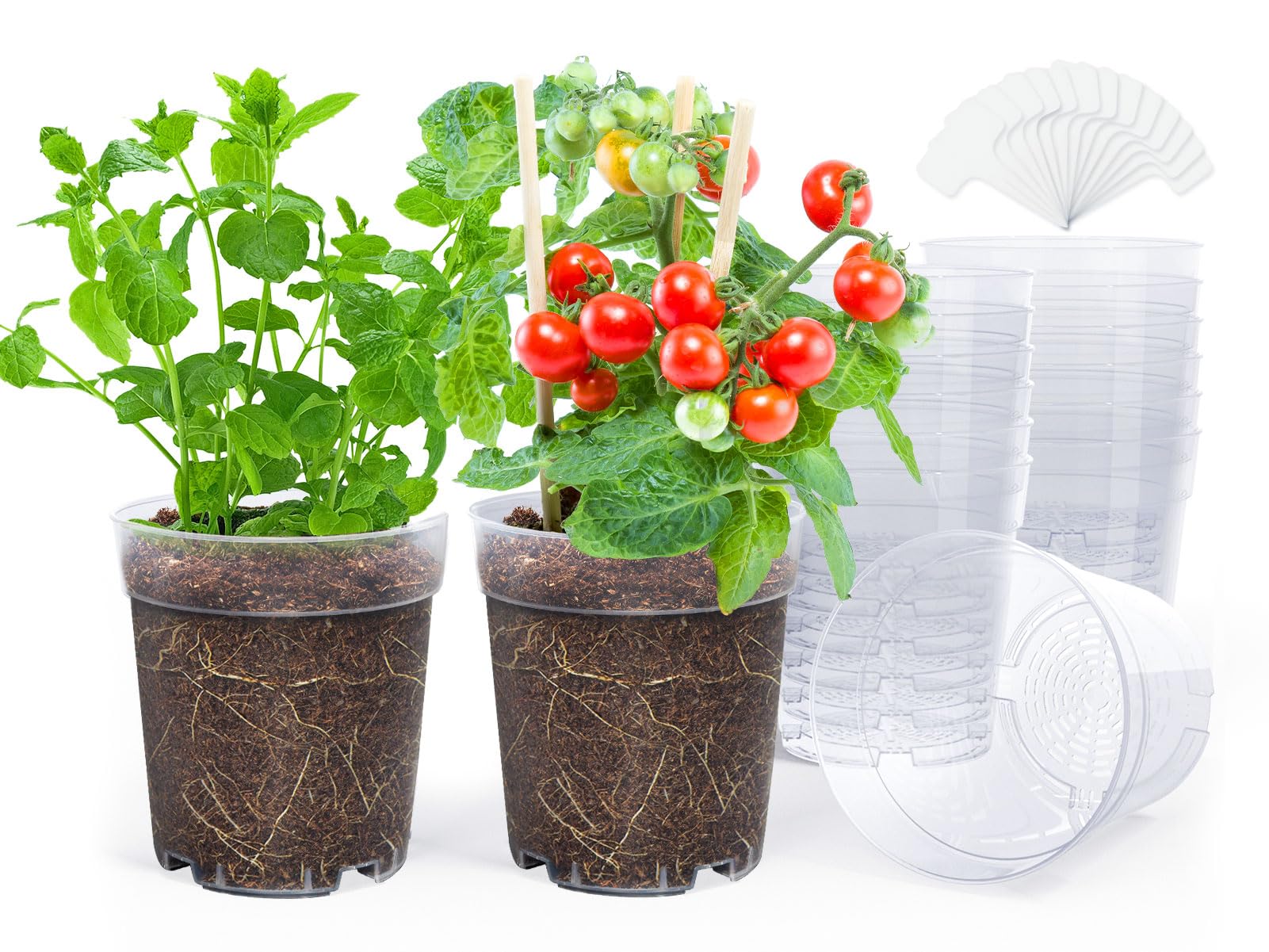 Sturdy, flexible plastic resists damage during transplanting.