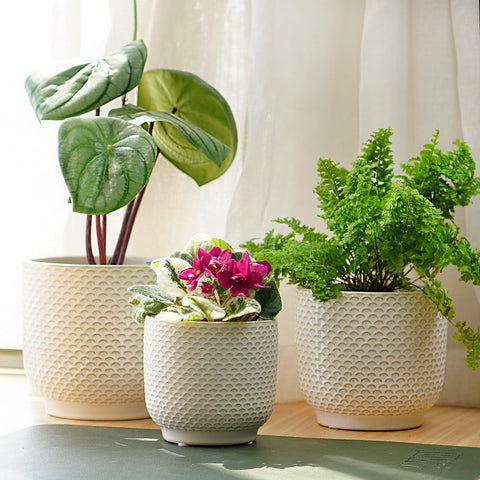 Homephyte ceramic pot drainage hole closeup illustrating functional drainage design