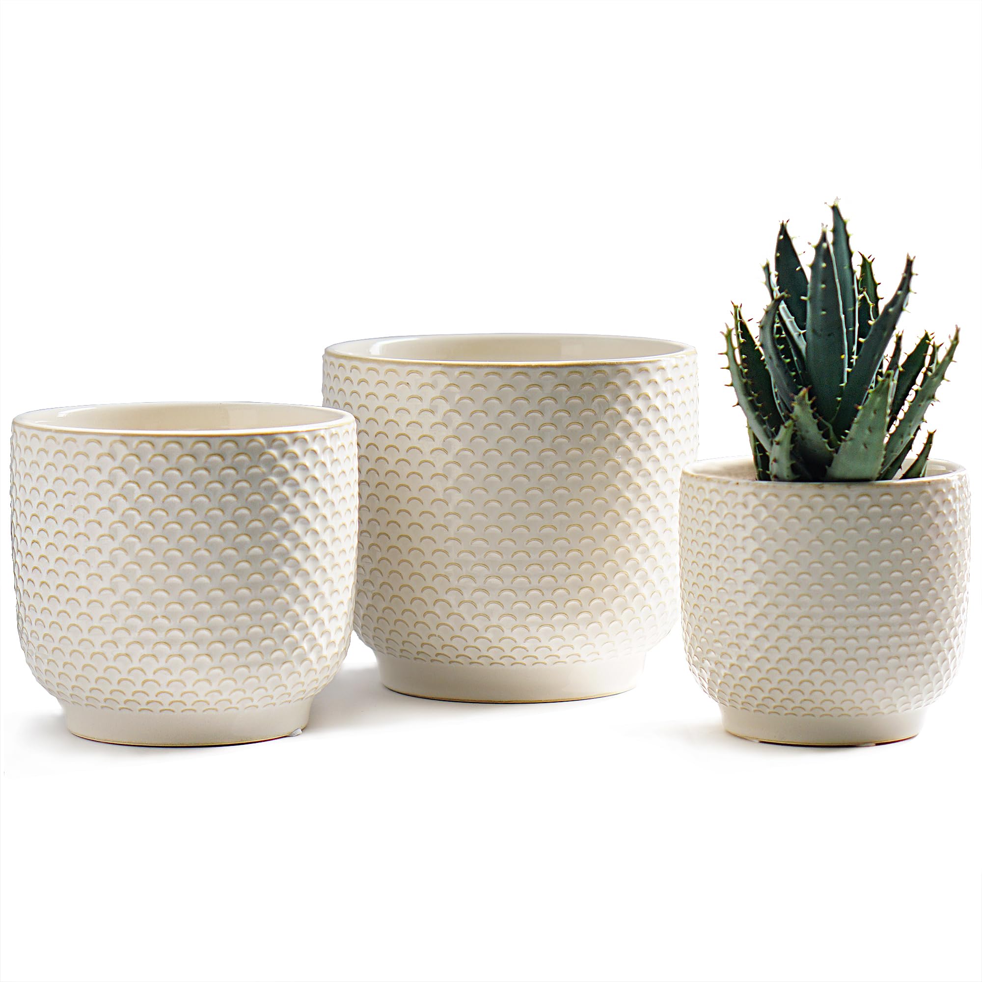 Homephyte milk white ceramic pot 4-inch front view for improved root air circulation