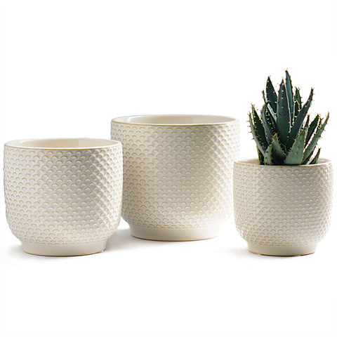 Homephyte milk white ceramic pot 4-inch front view for improved root air circulation