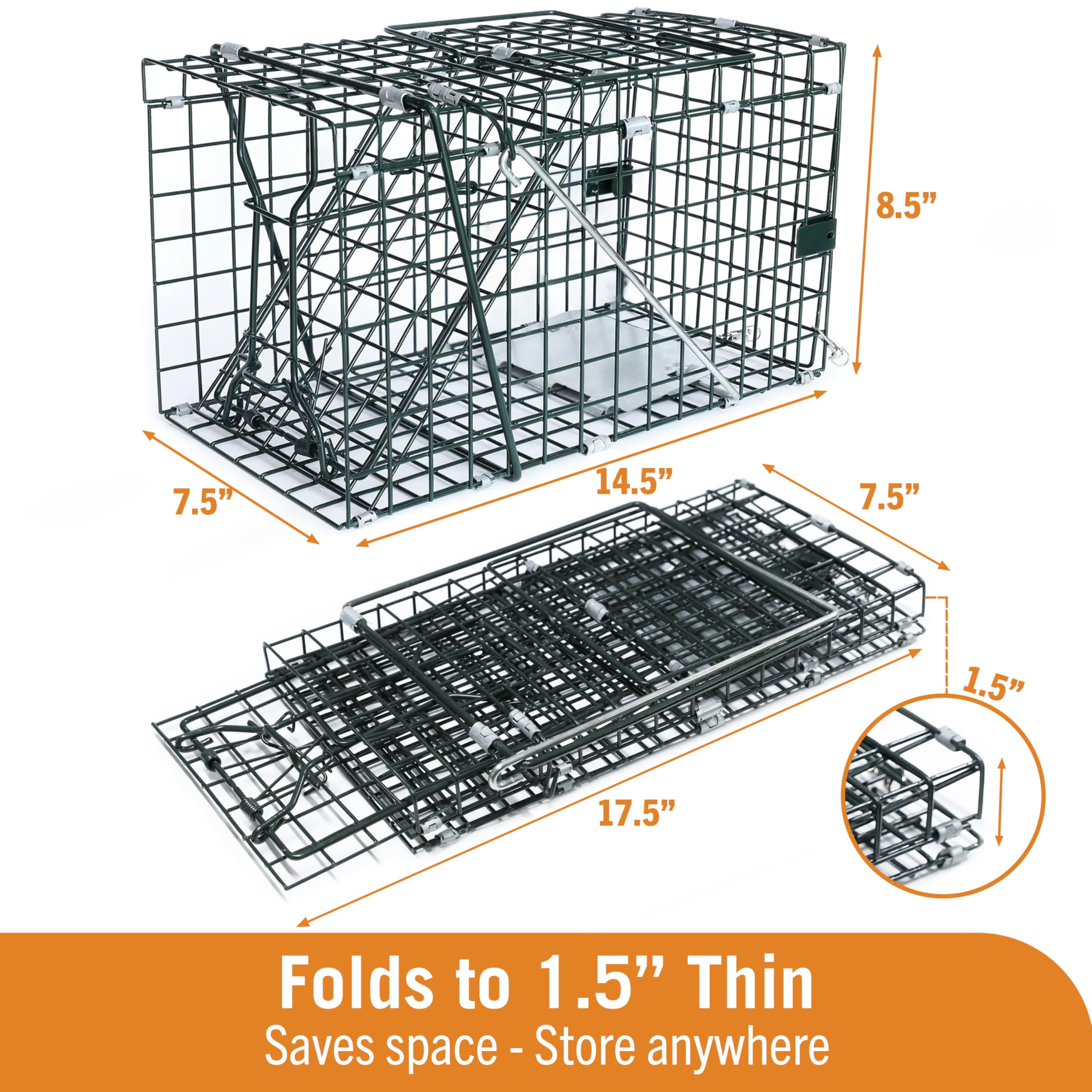 HOMESTEAD Collapsible Live Trap 14in collapsed demonstrates compact storage in a shed or truck.