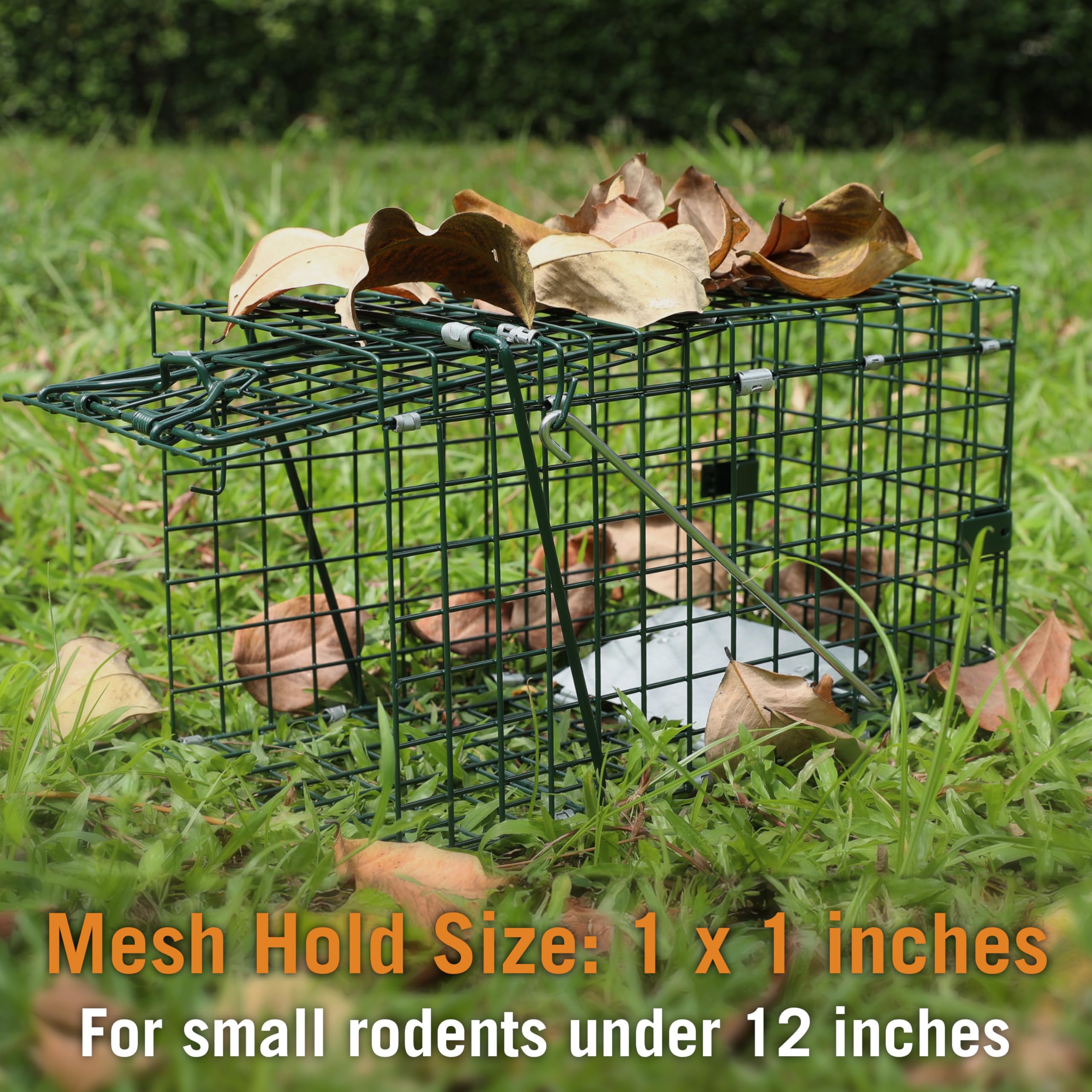 HOMESTEAD Powder-coated steel trap emphasizes rust resistance for outdoor durability.