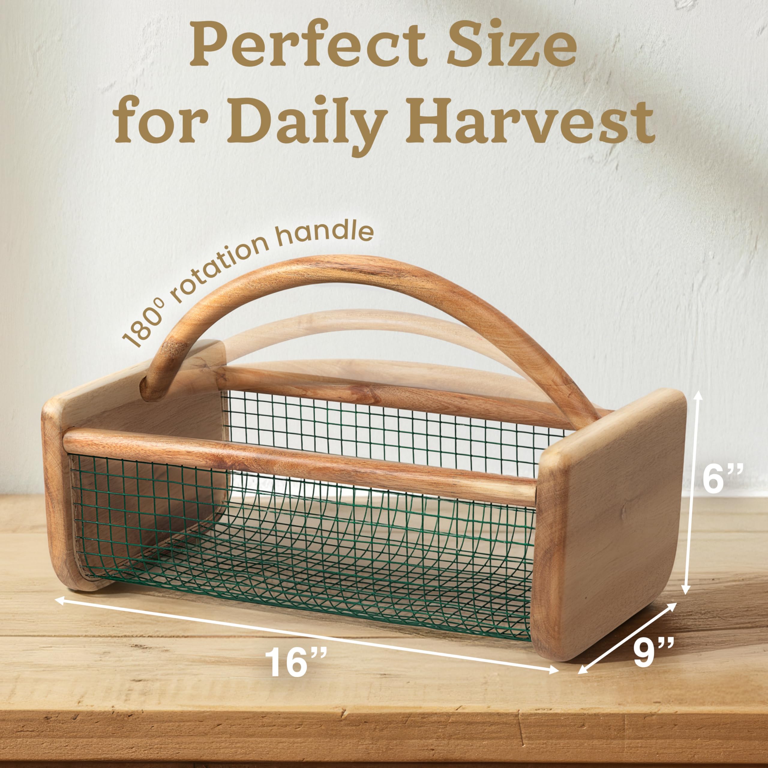 HOMESTEAD Garden Hod open steel mesh ideal for rinsing produce in-basket