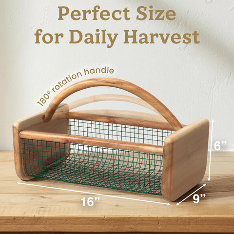 HOMESTEAD Garden Hod open steel mesh ideal for rinsing produce in-basket