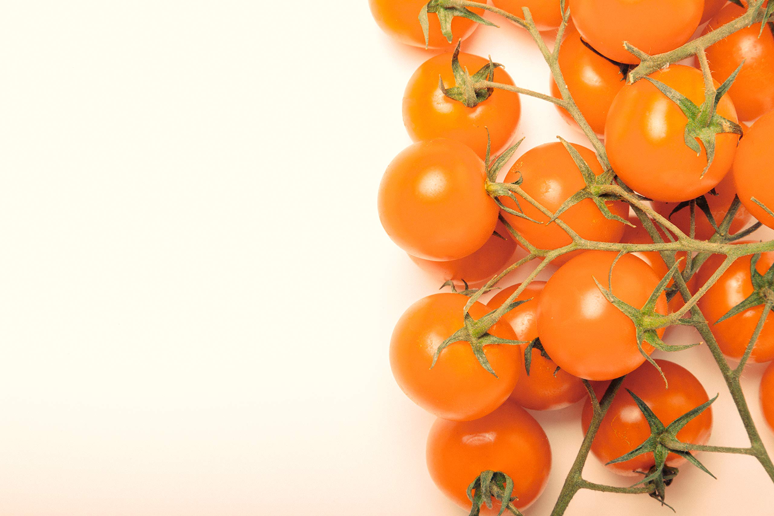 Hometown Seeds Sunsugar Hybrid seed pack front for a sunny garden start.