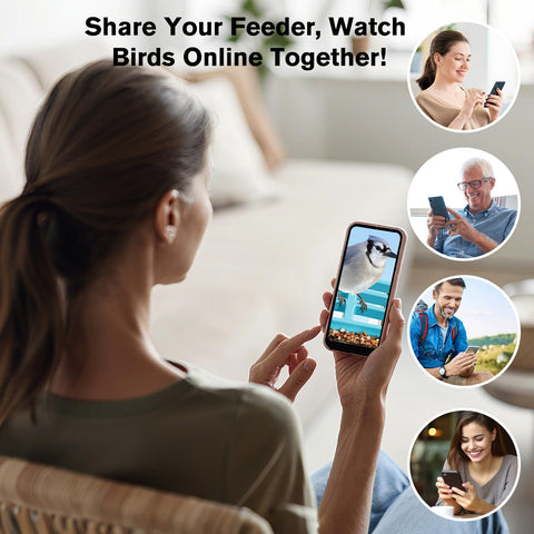 Homiefans 2.4GHz WiFi setup for stable live streaming