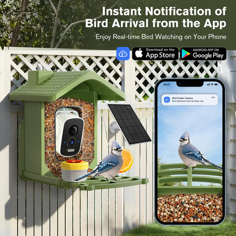 Homiefans 2.5K HD camera with 130-degree lens captures vibrant birds clearly.