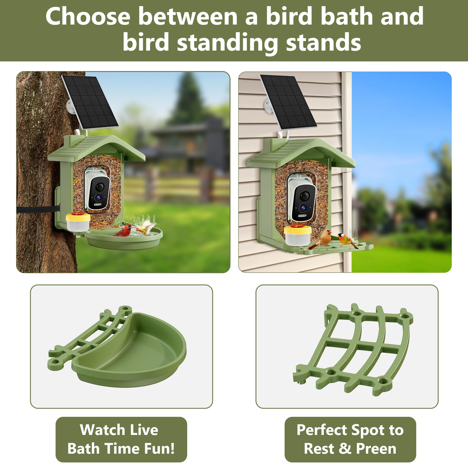 Homiefans all-in-one bird bath and feeder supports a thriving backyard habitat.