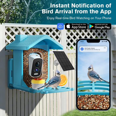 Homiefans smart bird feeder camera side view capturing perched birds