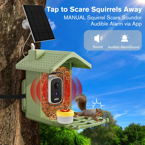 Homiefans 2.4GHz WiFi keeps stable live streaming and alerts.