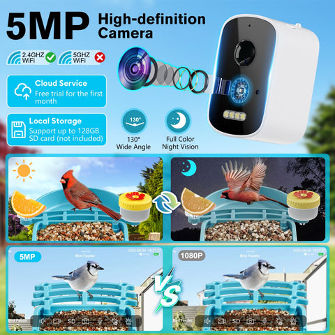 Homiefans video storage options: cloud or SD card for memories