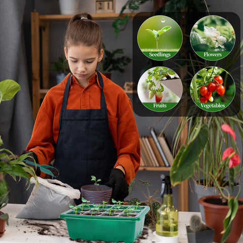 Homiton indoor greenhouse system reusable tray improves germination workflow