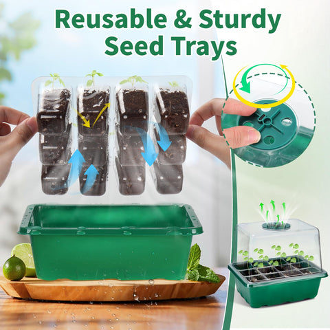 Homiton plant labels and tools aid organization during seed propagation