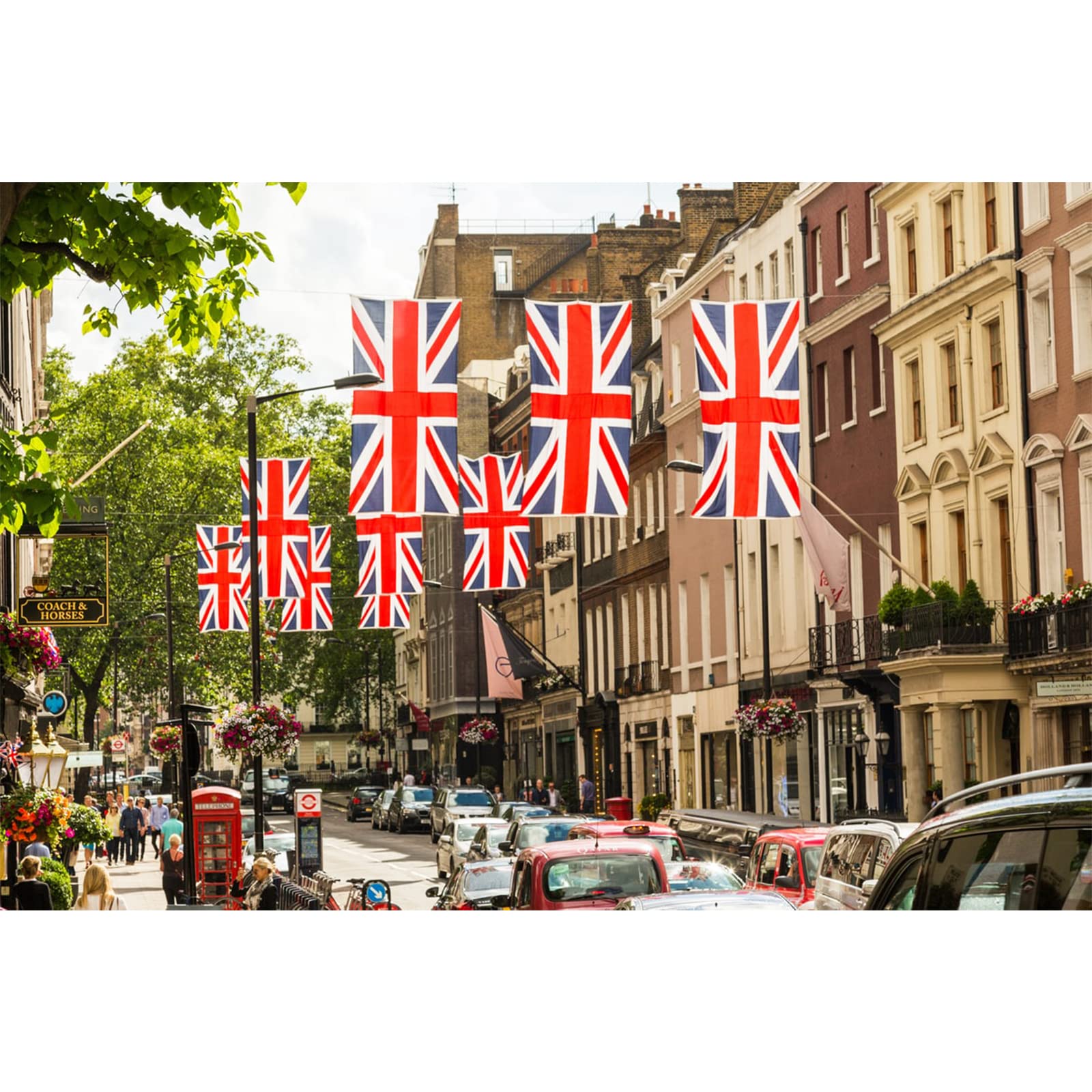 Homissor polyester flag ideal for home, school, or office display.