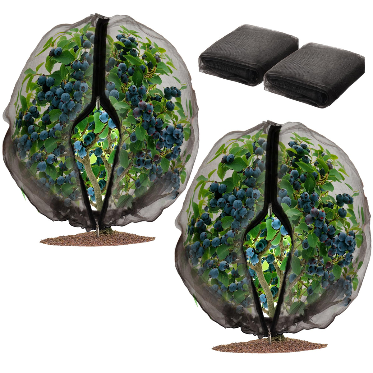 Homiton fruit tree netting cover protects trees from birds while allowing light through.
