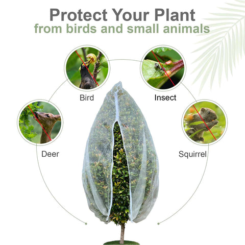 Homoda berry plants netting cover shields blueberry shrubs from birds and insects.
