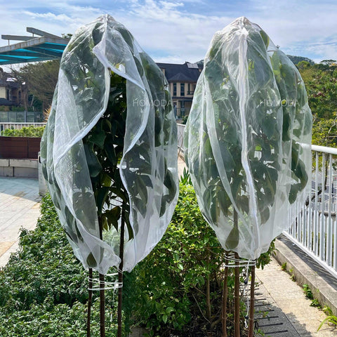 Homoda garden netting ultra-fine mesh allows sun and rain while blocking pests.