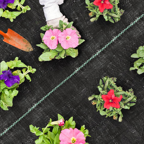HOMSHIAM vegetable garden uses the barrier to organize beds and reduce weeds