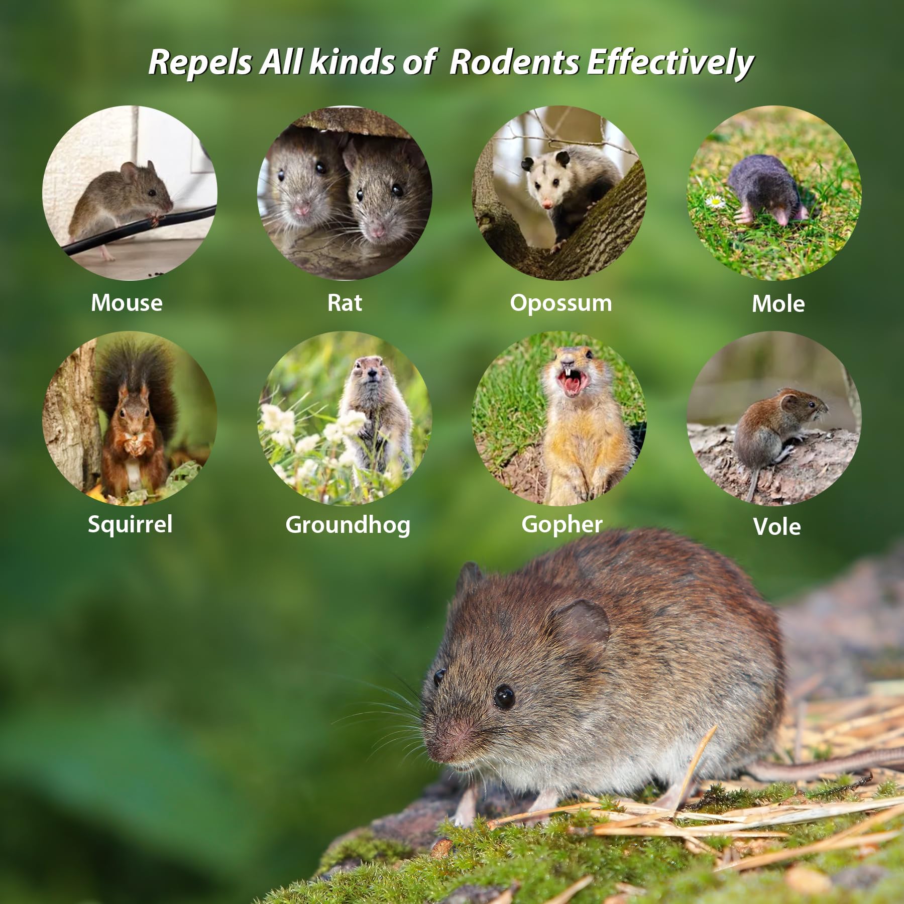 Homsor rodent repellent balls near car engines protect vehicles from nesting.