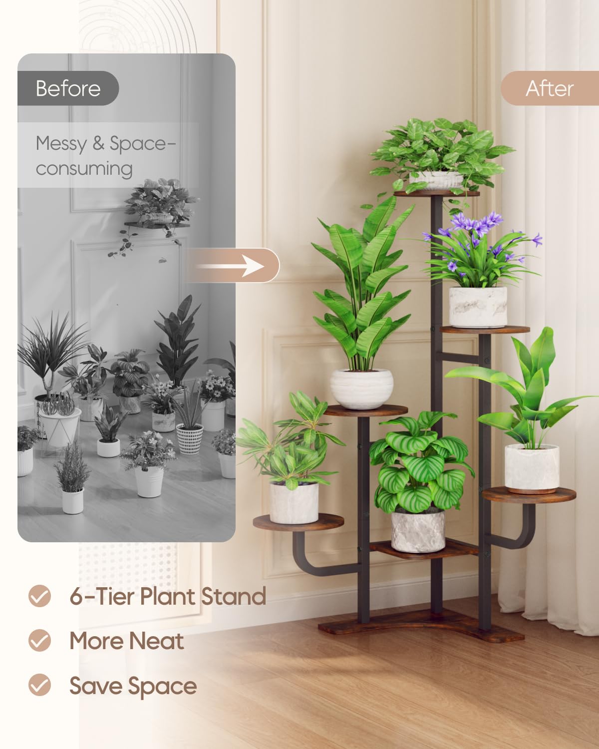 Homsorout indoor setup shows space organization with plants.