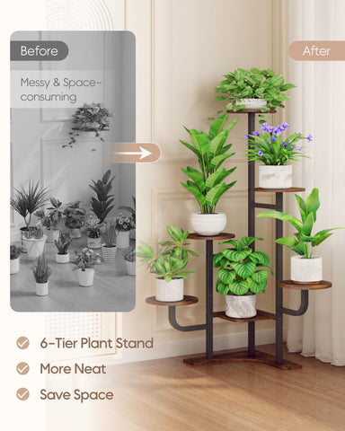 Homsorout indoor setup shows space organization with plants.