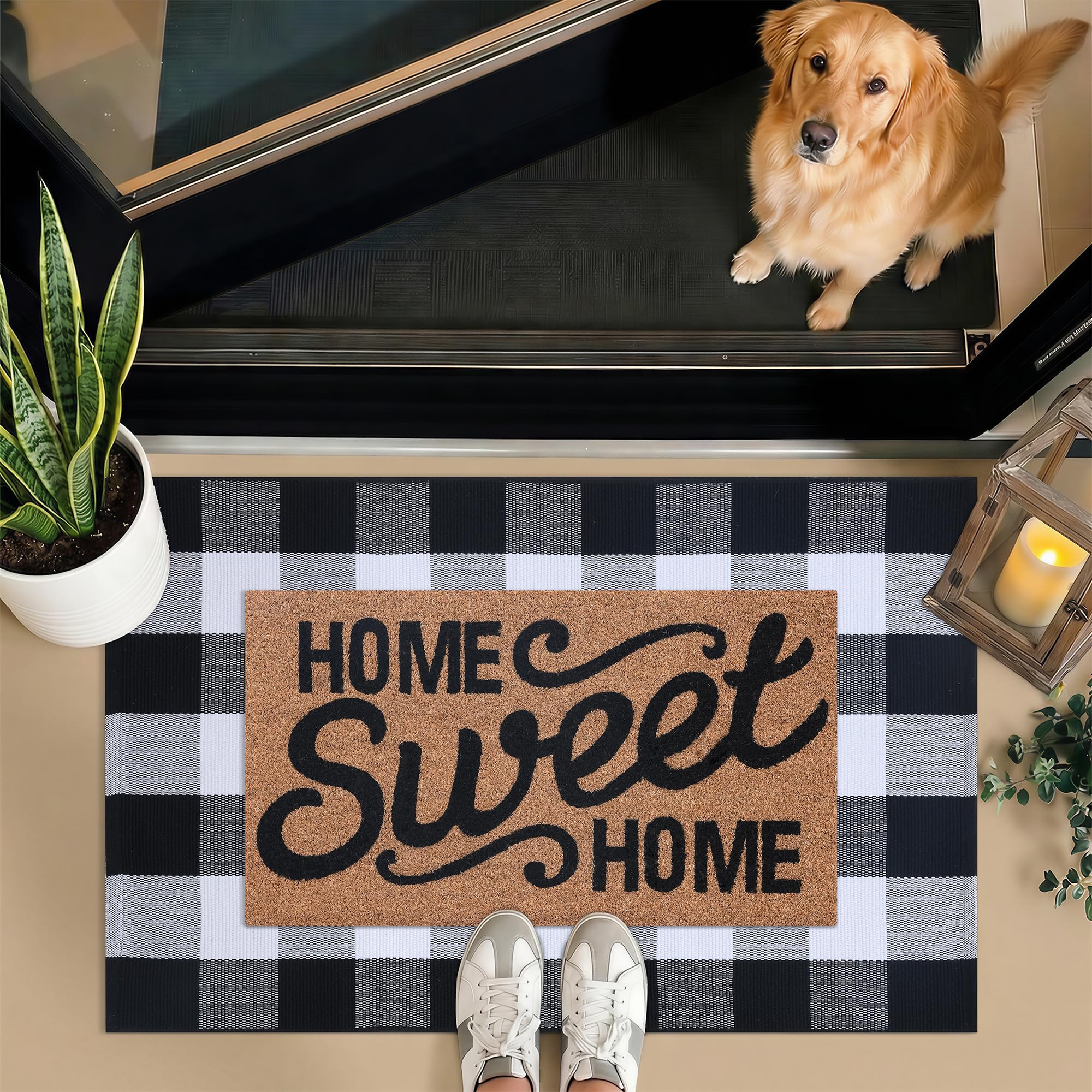 Homydecor natural coir fiber mat captures dirt at the doorstep.