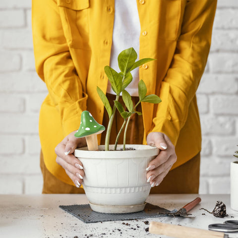 HOMYHEE makes a thoughtful gift for plant lovers and beginners.