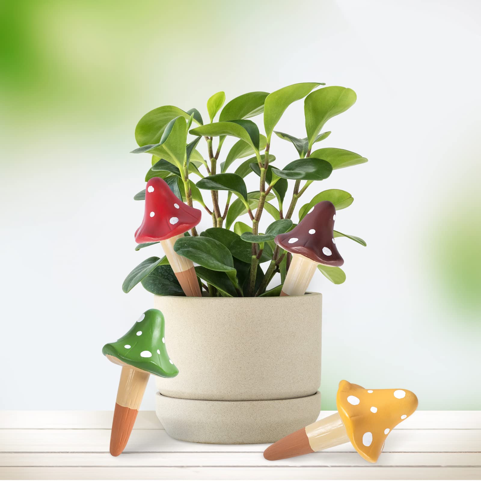HOMYHEE stand-up water capacity supports longer watering intervals.